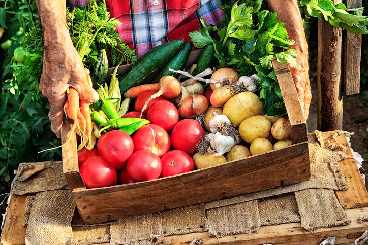 Man put wooden crate with fresh vegetables - tomatoes, carrots, garlic and potatoes, onion and cucumber, on table.